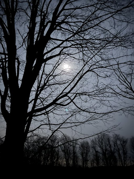 Winter moon https://t.co/qBCKt9yNxn