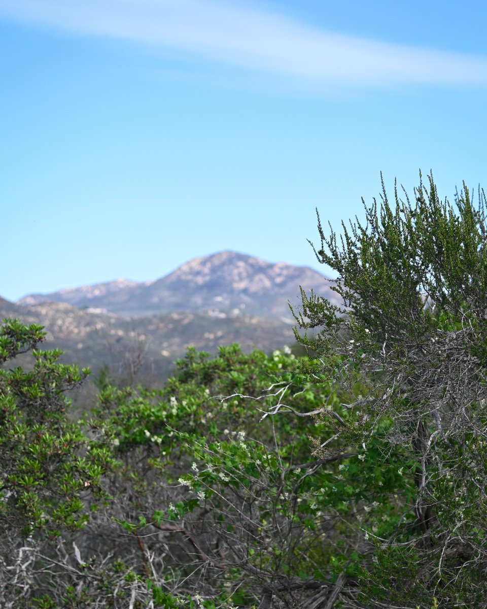 Views like this are priceless 😍

#Lifegrowsgreen #Natural #Nature #Outdoors #Wilderness #Plant #Mountain #Tree #Grass #Scenery #Land #Landscape #Sky #Green #Greenery #Photography #Photograph <a href="/RealChadPrice/">Chad Price</a> <a href="/bsnscnslt/">BusinessConsultant</a>