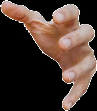 BasedAutman's tweet image. Still need that Autistic gym gf