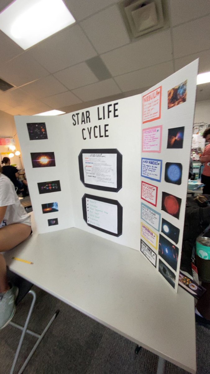 Allyssa Potter tweet media