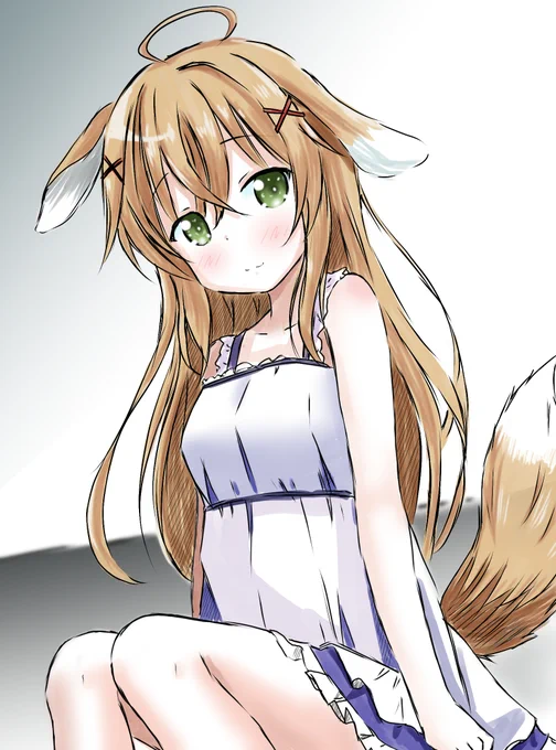 イヌコログサ 
