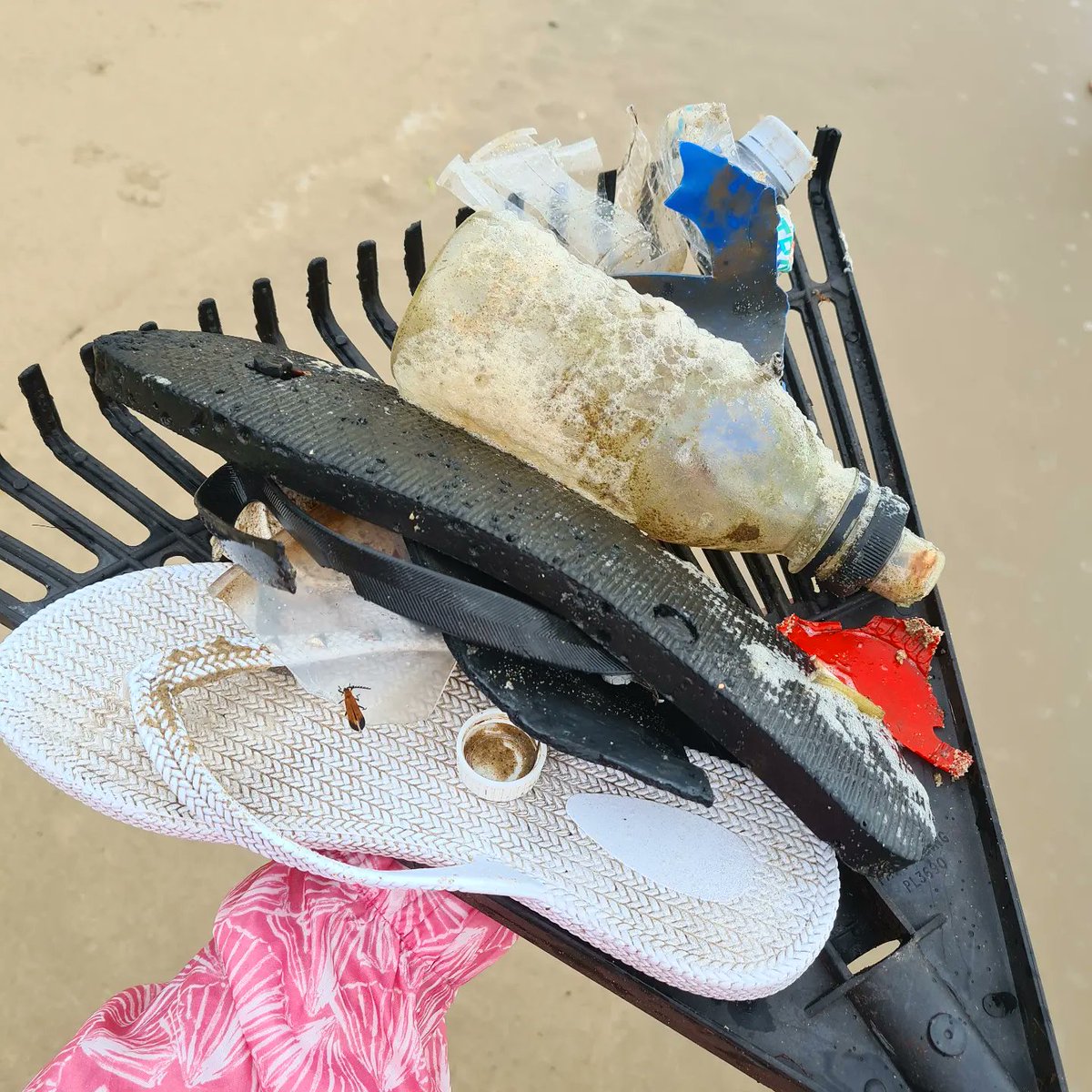 Clean up Australia Day 💙💚

Sunday 5th March.

#beachcleanups

If you see plastic on the beach.. pick it up & take it with you 🥤🩴

Every action makes a difference 💚💙