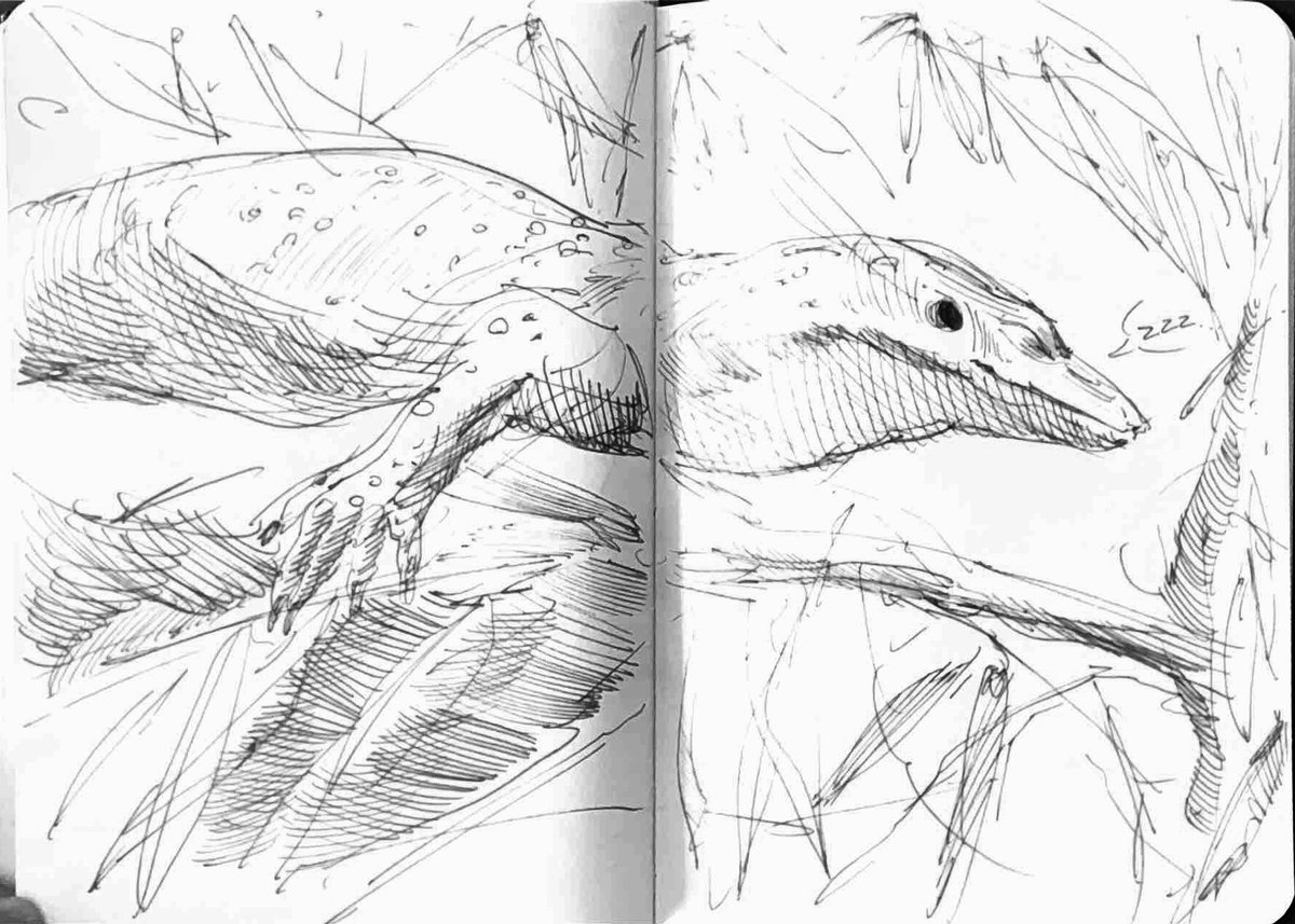 I have taken up traditional sketchbooking again. It's been a wonderful warm up creatively 