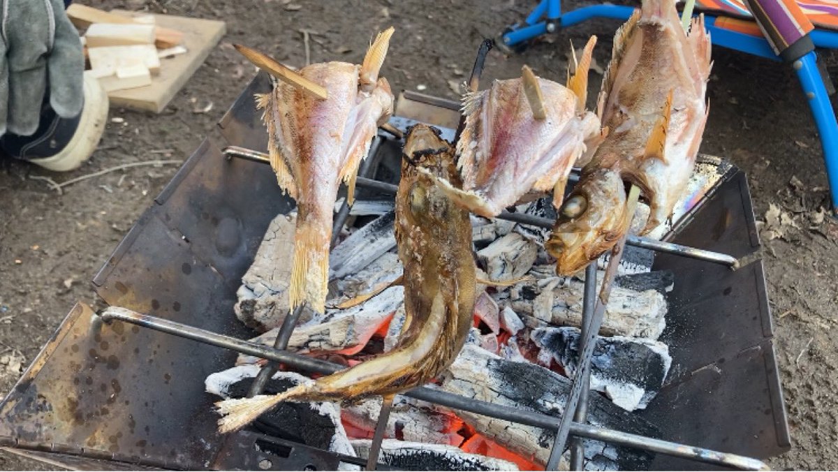 本日、晴天なり！ので、メバルの塩焼きです！