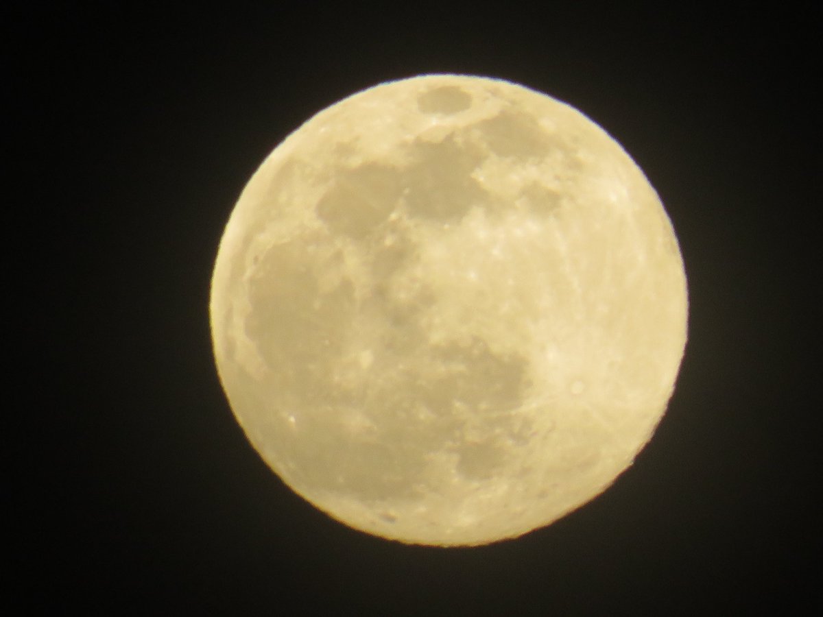 coachpam2's tweet photo. March Full Moon🌙! #fullmoon #wormmoon #sugarmoon #sapmoon #crowmoon #lentenmoon https://t.co/WHmidVlfzb