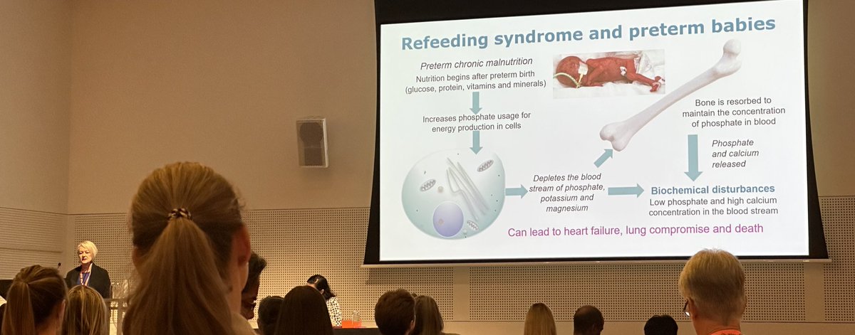 Healthy Foundations Research Group tweet media