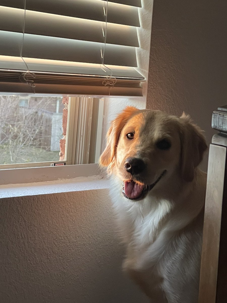 Golden hour for a golden girl.