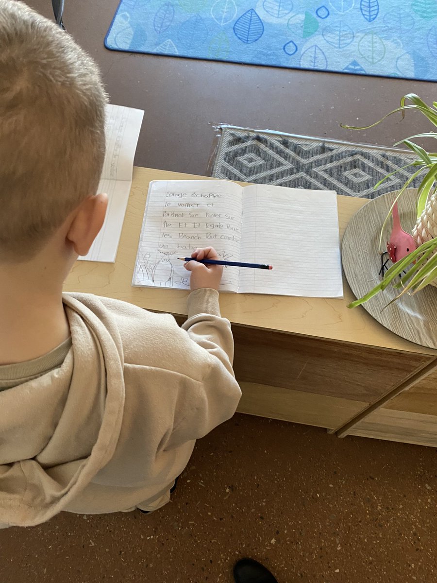 “Thinking classrooms”, en immersion française, dans une classe combinée 1/2ième, en collaborant pour l’écriture = possible! @jvaillancourt55 <a href="/rvsed/">Rocky View Schools</a> <a href="/pgliljedahl/">Peter Liljedahl</a> <a href="/Alidajill/">Alida</a> <a href="/kendraarnason/">Kendra Arnason</a> <a href="/RVSWhitneyG/">Whitney</a>