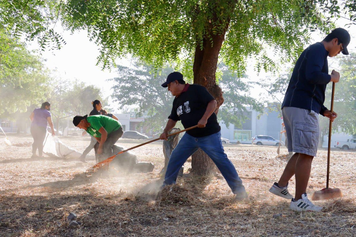 ColimaMunicipio's tweet photo. ¡Tuvimos sábado de doble #Talacheando 👏!
Limpiamos área verde en #ColinasDeSantaBárbara y el jardín de la #FranciscoVillaIII, en equipo con las ciudadanas y ciudadanos de la colonia, así como con las juventudes de la Federación de Estudiantes Colimenses.
¡#ManosALaObra ! https://t.co/8qWGfyl615