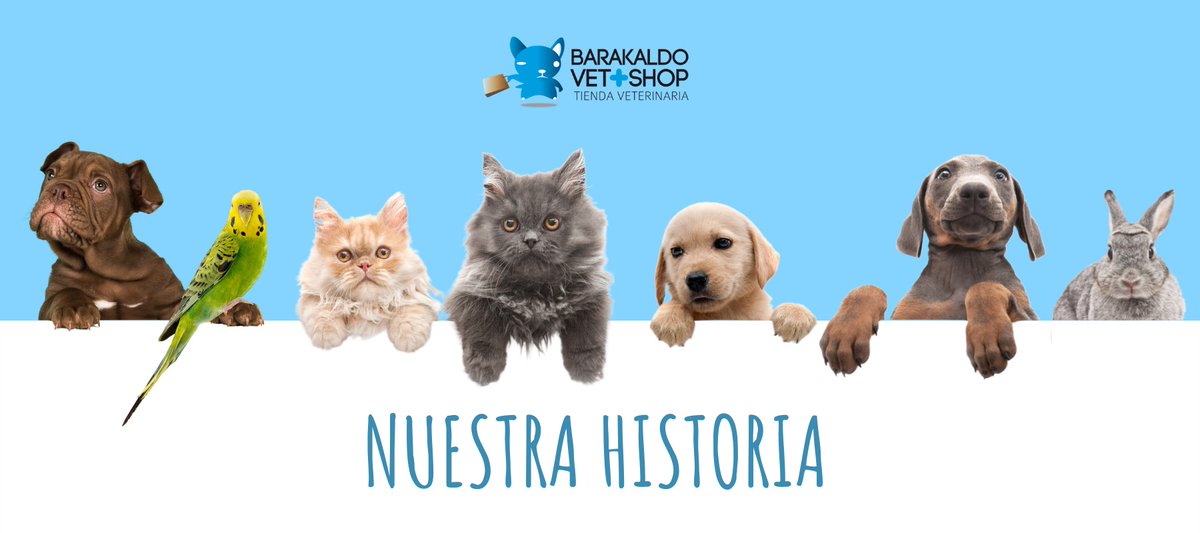 hy1848's tweet photo. @dodo Sé amable con ellos.
🌈https://t.co/VIhnCClNsW https://t.co/ahUepkK1as