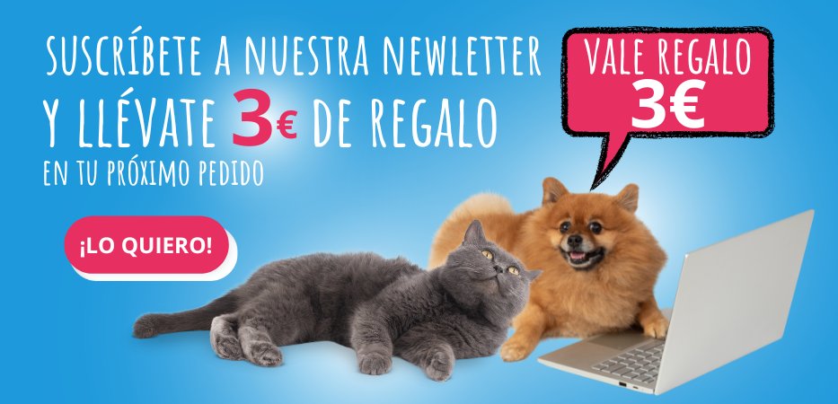 hy1848's tweet photo. Sé amable con ellos！
❤️https://t.co/MQMKO9mSDV https://t.co/sBNaWR6llG