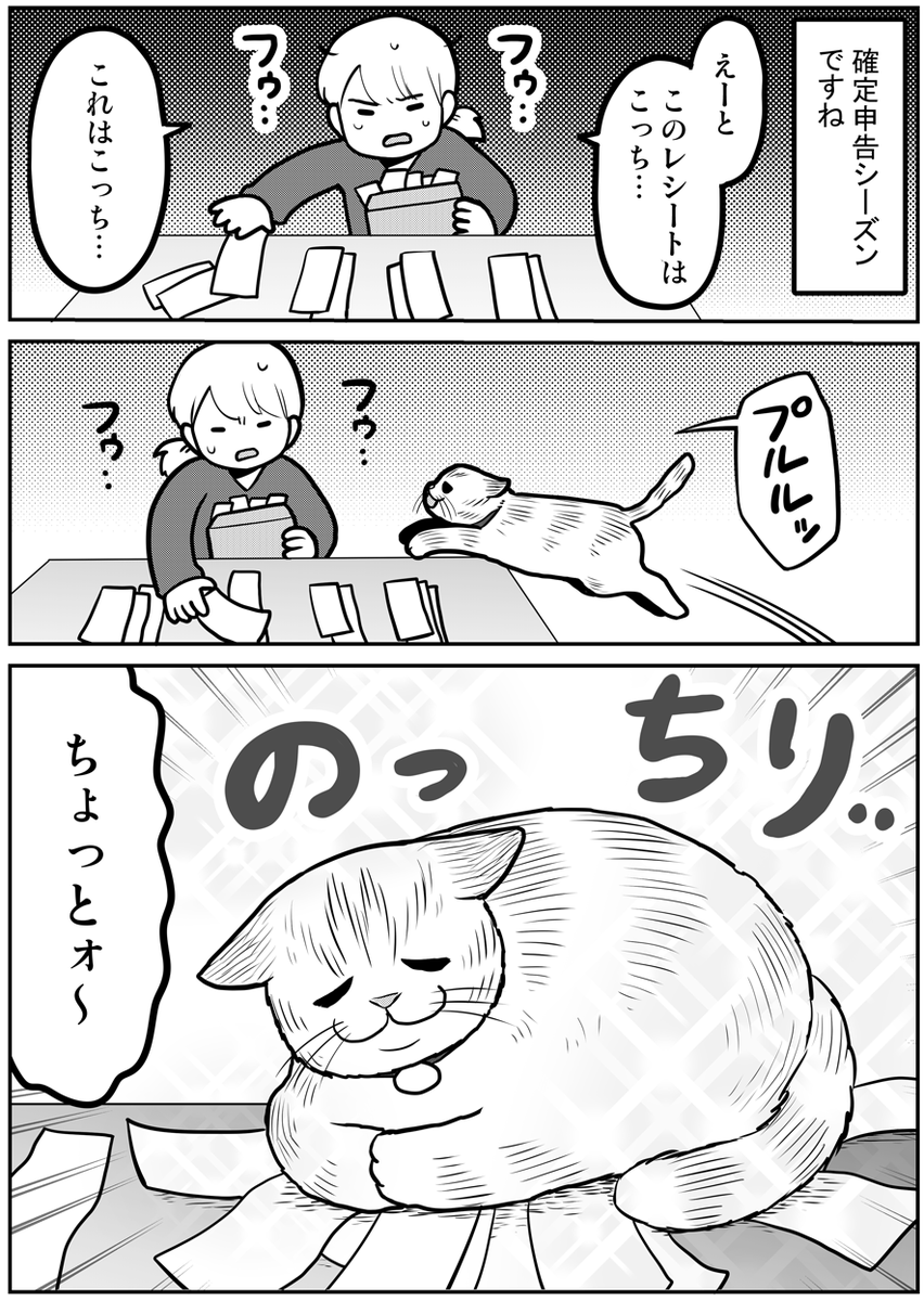 確定申告と猫 