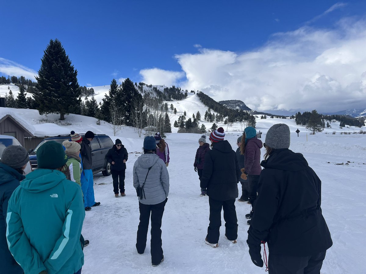 MsKerriganNRHS's tweet photo. Day 2 = bison identification lessons! We learned how to identify adult males and females as well as juveniles and young of the year (aka nuggets). We were able to collect a fecal sample to add to all of our data, too! Poop, there it is! https://t.co/m1wsP6FPFD