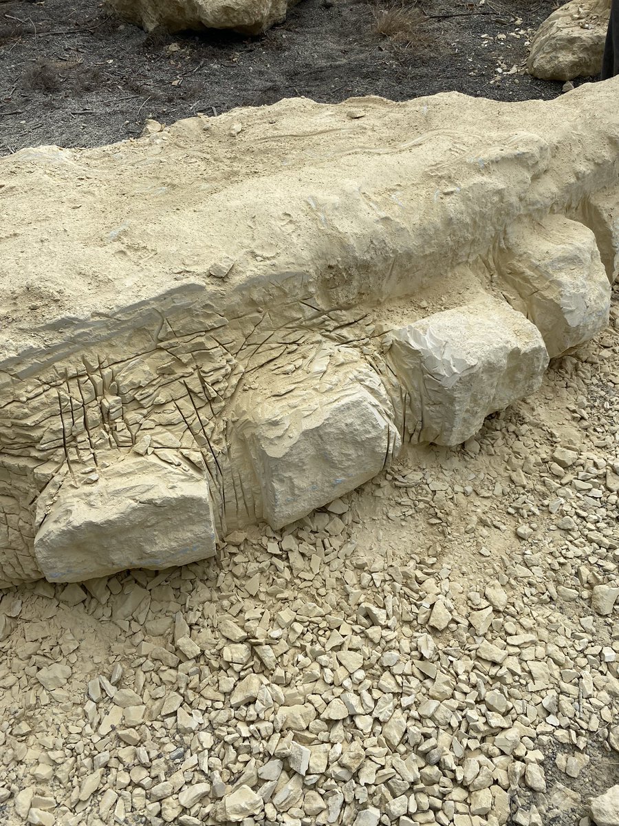 DWithington tweet media