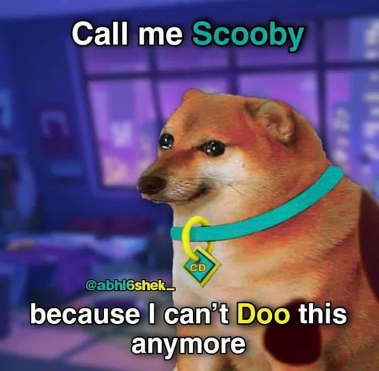 exShotDepresso's tweet photo. ruh roh rhaggy.

#ScoobyDoo #ScoobyDooandKryptoToo https://t.co/k522gzt530