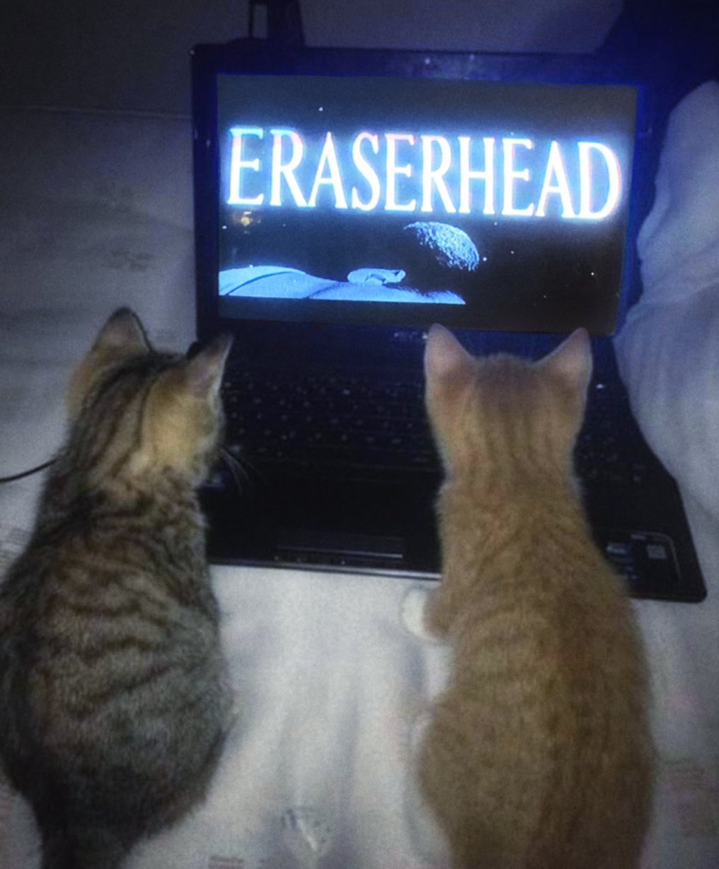 FqlnapHWAAUj8-w?format=jpg&name=large