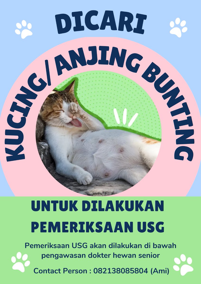UGM_FESS's tweet photo. ugm_fess bantu retweet gais🙏 atau kalo ada yg punya kucing bunting boleh bgtt hubungin CP-nya 🐱 https://t.co/2IRjFCCTKl
