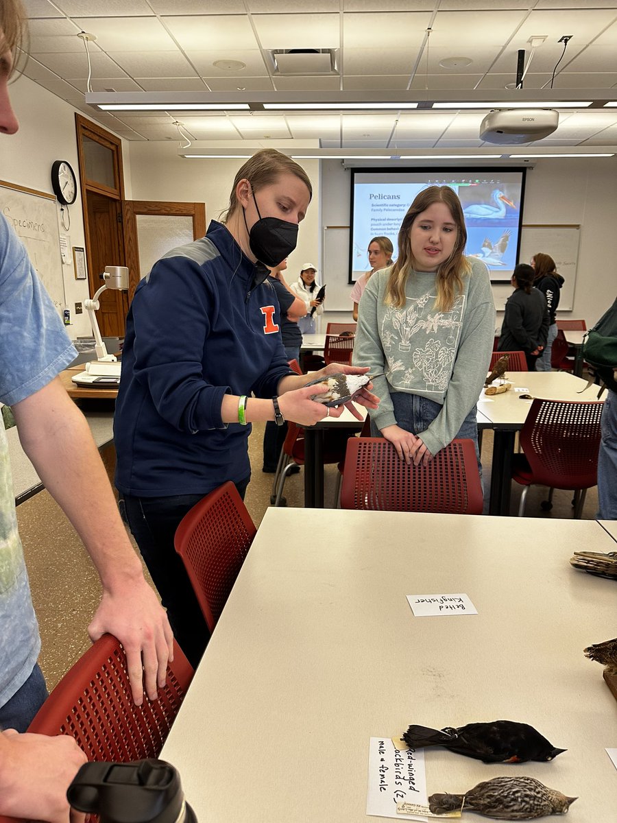 Thank you to everyone who came to our Ornithology workshop! And thank you to Sarah Winnicki for leading the workshop, as well as Lauren and Kristine for assisting!