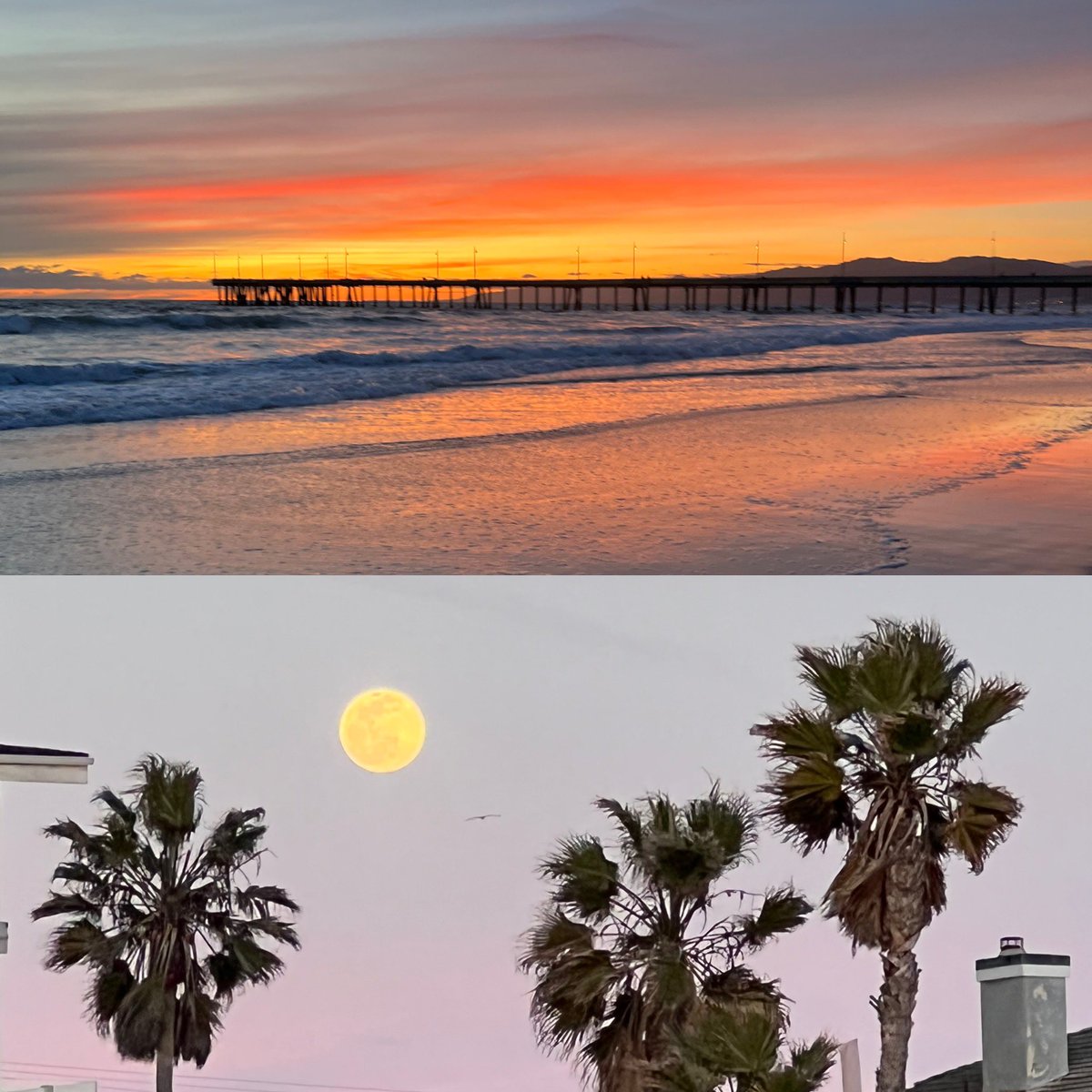 Valerotti's tweet photo. Last light this evening..heading into an chilly early am Full Moon. Happy Monday! 🙏🏼🙏🏼🙏🏼 #GN #FullMoon #WormMoon #FullMoonRising #TeamSensitive #HoldMe #Valerartsy https://t.co/1SaAncNmmu
