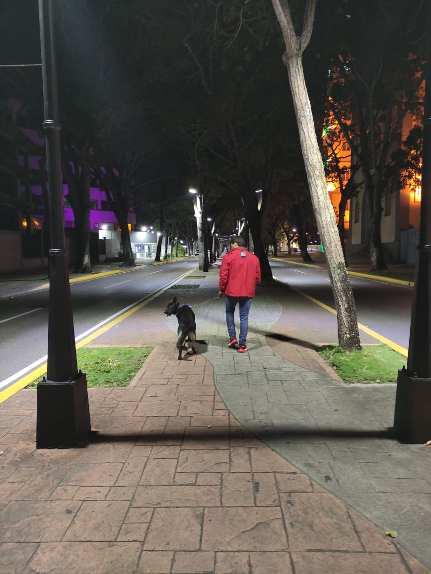 ErnestoLunaPsuv's tweet photo. Ando con mi mejor amigo 🐕

Hoy lo estoy paseando por las calles de Maturín, esa ciudad hermosa que tanto amo. https://t.co/yoFnFsDNTX