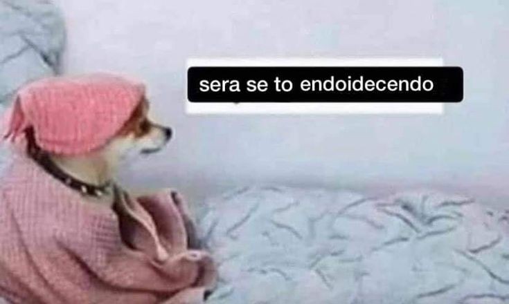Luizaaaa023's tweet photo. Vale apena perder uma noite de sono p n final não ter passado?#prouni https://t.co/hGCZyH03Pp