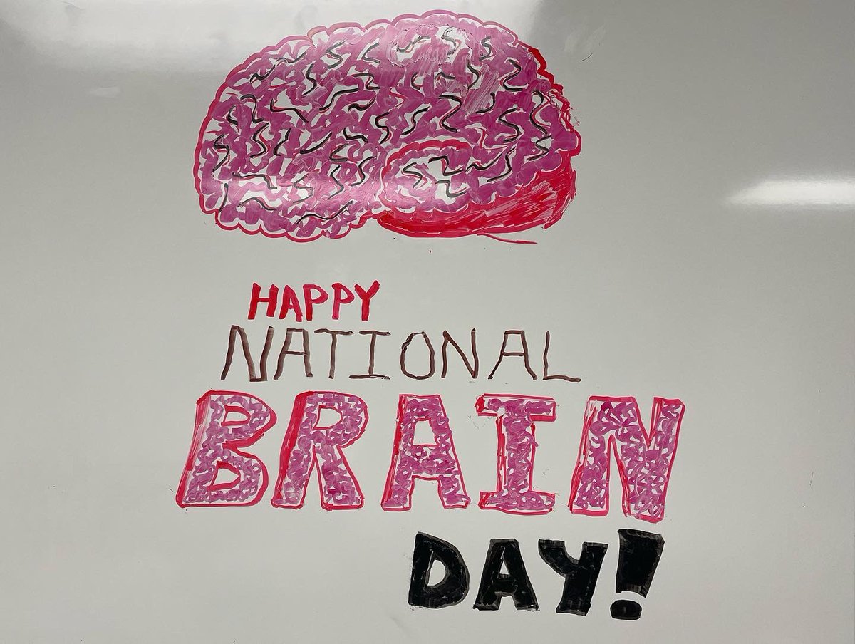 AkronAfterHours's tweet photo. Thank you so much for all of the Brian Wishes🥳

Tune into the ‘National Brain Day’ music video coming out soon on Episode 3👀 

🎂Cake made by Nate Brown🎂 https://t.co/l9lKHpBE5m