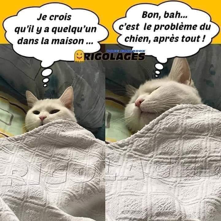 PAPY 👴 COULE tweet media