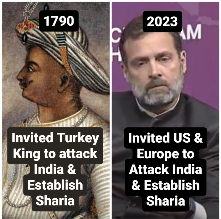 total_woke_'s tweet photo. The Turd of Tipu Sultan https://t.co/bVpEz46mOd