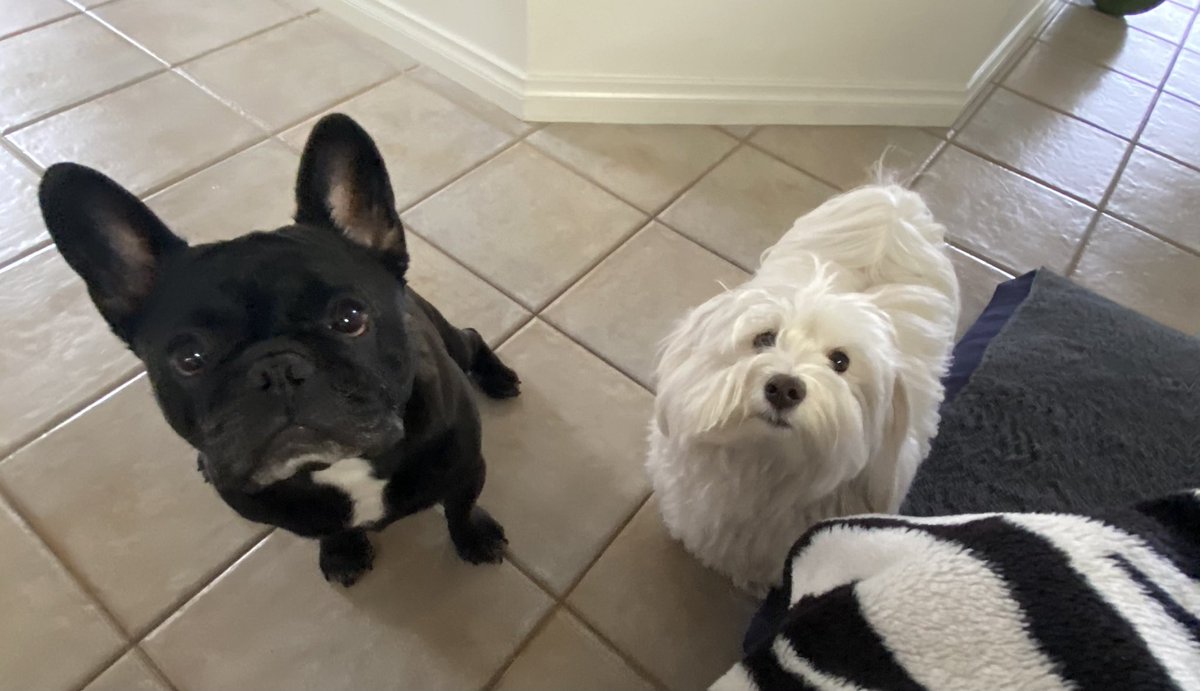 Look at these lil weirdos