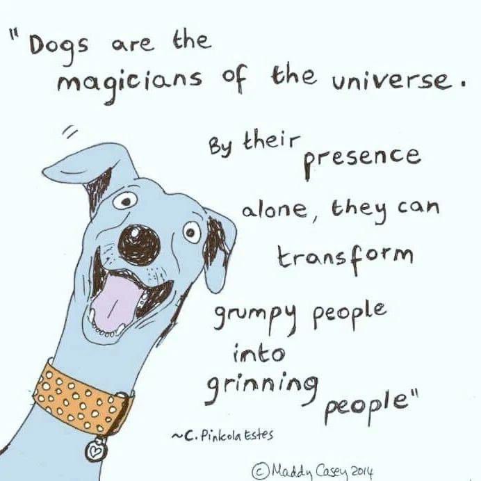 wagging_dog's tweet photo. Check out all our available magical 💕 dogs on the Wagging Dog Rescue website.

https://t.co/yLA8sx0v9g

#waggingdogrescue #waggingcatrescue #sloppypupkisses #hearthrobdog
#dogsaremagical #adoptdontshop #fosteringsaveslives #dogsmakegreatlovers
#rescuedisourfavortiebreed https://t.co/iX5DT8WdcD