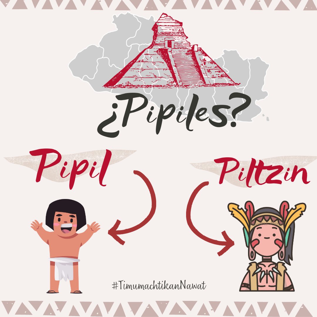 Activismo Digital de Lenguas Indígenas tweet media