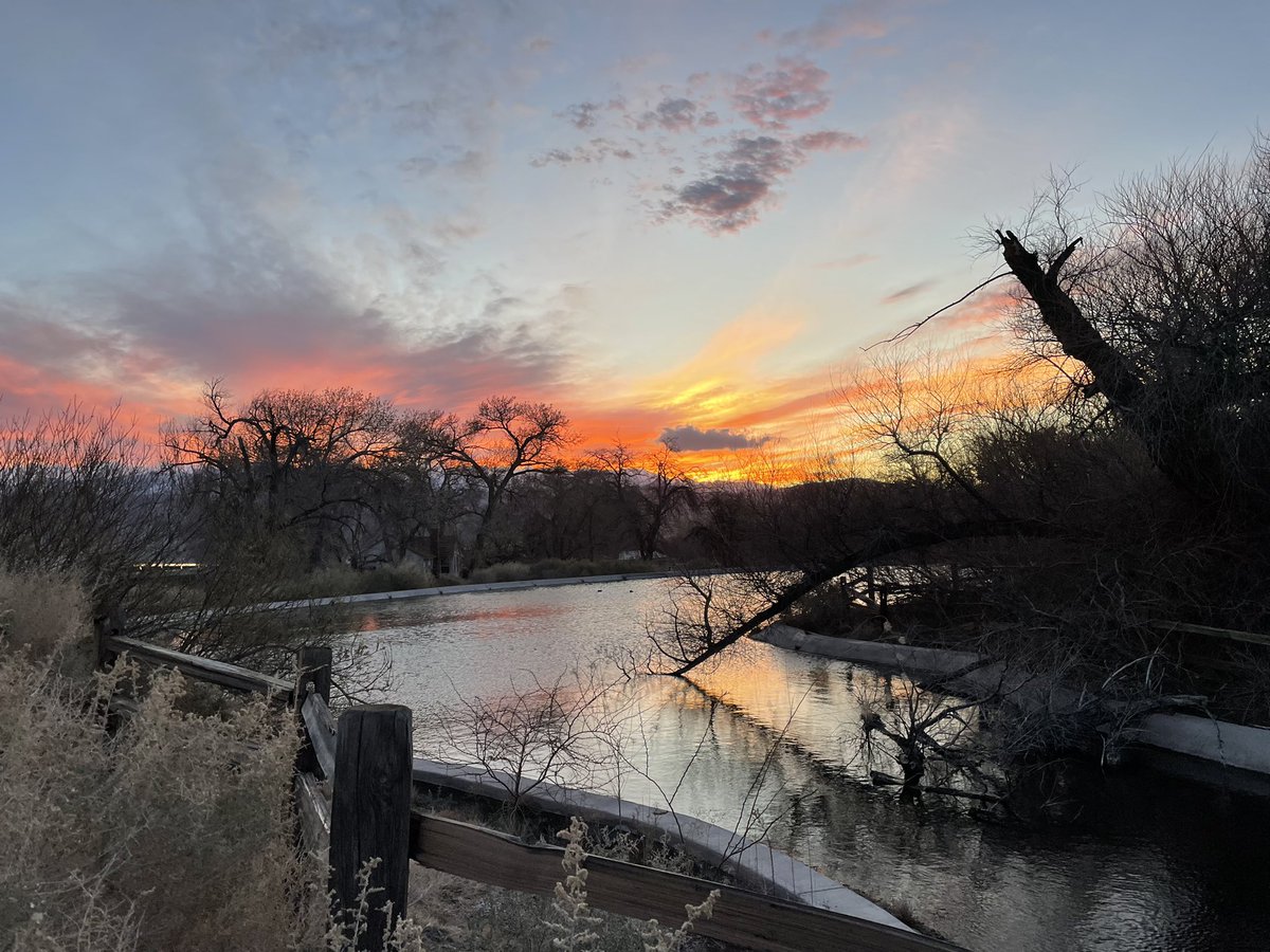 JohnScottLV's tweet photo. Desert Wildlife Refuge at Corn Creek near Las Vegas, NV. #lasvegas #desertwildlife #outdoorexposed #Nevada #SunsetLovers #photographer #outdoorsforall https://t.co/RStfInuKxH