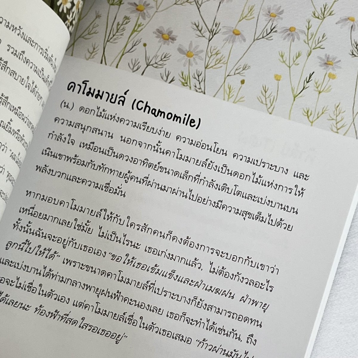 klinnangsue's tweet photo. ดอกไม้แห่งการให้กำลังใจ 🌥️

Pre-Order #อยากส่งดอกไม้ให้คุณ https://t.co/NkKdtRNDlO
