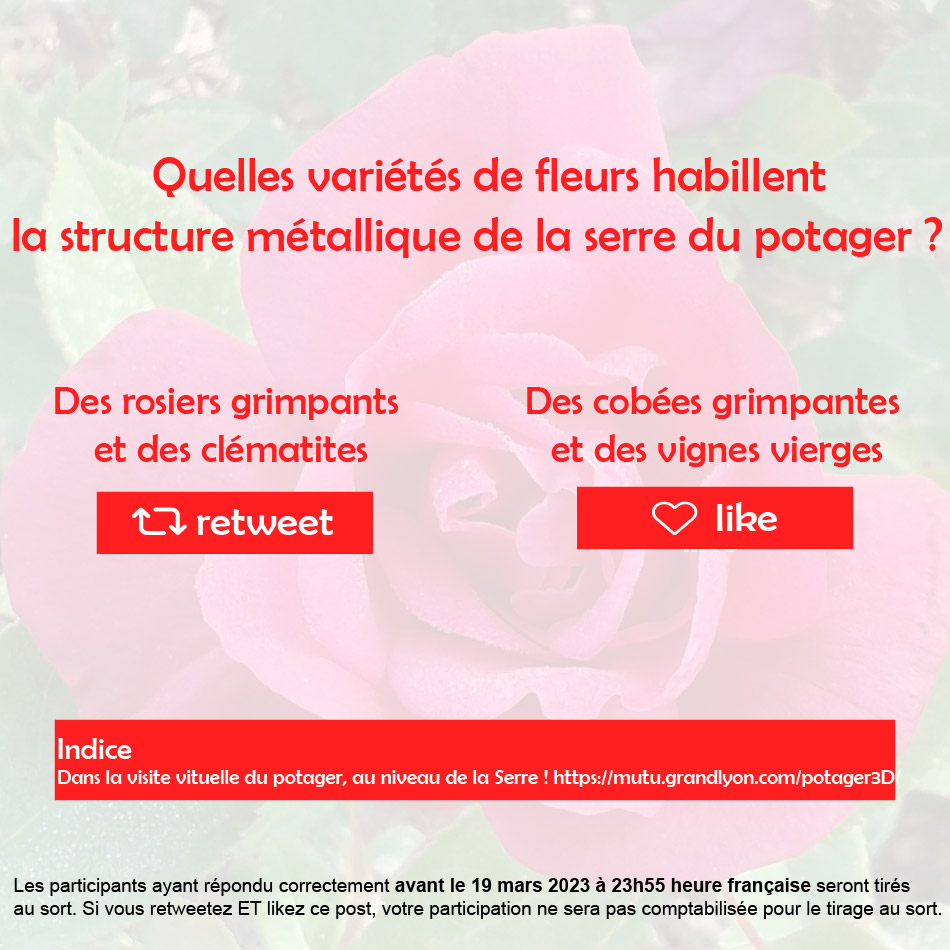 [#Concours] : Spécial 'Serre de 1942'🌹 pour le début du #printemps !
#Jouez et tentez de gagner 1 mug et des graines ! Pour participer :
👉Suivre le compte @ParcdeParilly
👉Répondre correctement à la question (like ou retweet)

⏳RDV le 20/03 pour l'annonce du #gagnant·e