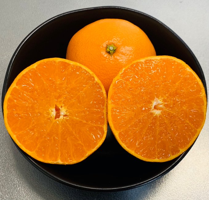 【ご案内】
『せとか』と『不知火』の受付を引き続き行っております🍊✨どちらも収穫後じっくり寝かせ甘みと酸味のバランスを取りました。それぞれ残り50箱分は発送可能ですので、消費にご協力いただけると大変嬉しく思います😭🙏
⠀
【詳細・お申込】
https://t.co/Dpoey7sgsv 