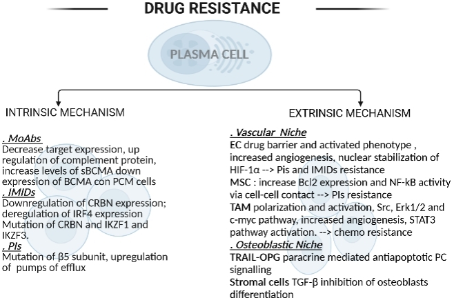 Cancer Drug Resistance (@cdrjournal) on Twitter photo #myeloma #MultipleMyeloma #drug #resistance #MRD
👏👏Happy to share a review article "Drug resistance and minimal residual disease in multiple myeloma"
👉Download the whole text: cdrjournal.com/article/downlo…
<a href="/LesokhinMD/">AlexanderLesokhin MD</a> <a href="/HJChoMDPhD1/">Hearn Jay Cho MD, PhD</a> <a href="/myelomadoc/">James R. Berenson, MD</a> <a href="/DMadduri/">Deepu Madduri</a> <a href="/adamssperling/">Adam Sperling</a> <a href="/AlGarfall/">Al Garfall</a> #myeloma #MultipleMyeloma #drug #resistance #MRD
👏👏Happy to share a review article "Drug resistance and minimal residual disease in multiple myeloma"
👉Download the whole text: cdrjournal.com/article/downlo…
<a href="/LesokhinMD/">AlexanderLesokhin MD</a> <a href="/HJChoMDPhD1/">Hearn Jay Cho MD, PhD</a> <a href="/myelomadoc/">James R. Berenson, MD</a> <a href="/DMadduri/">Deepu Madduri</a> <a href="/adamssperling/">Adam Sperling</a> <a href="/AlGarfall/">Al Garfall</a>