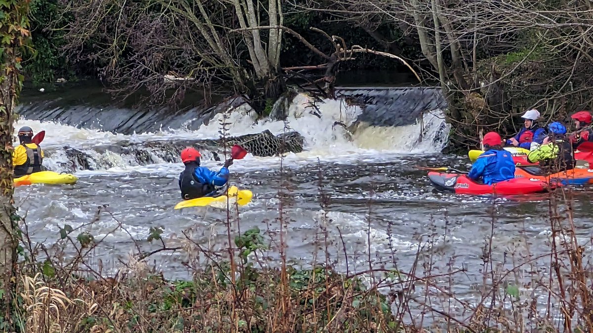 Akashvickyrk's tweet photo. Adventure at it's best #kayak #slane #river #stream #water #photography #sheep https://t.co/K7ynbXa0BQ