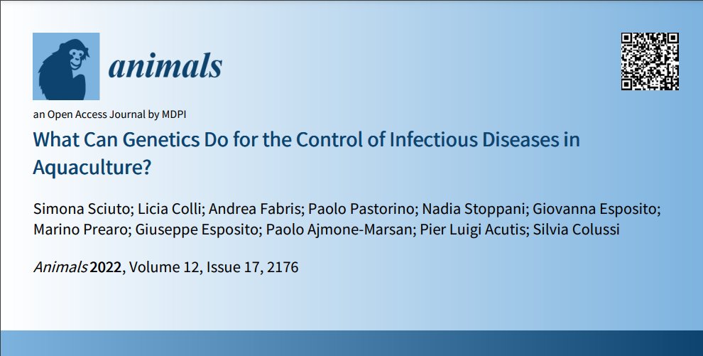 Animals (@Animals_MDPI) / Twitter Animals (@Animals_MDPI) / Twitter