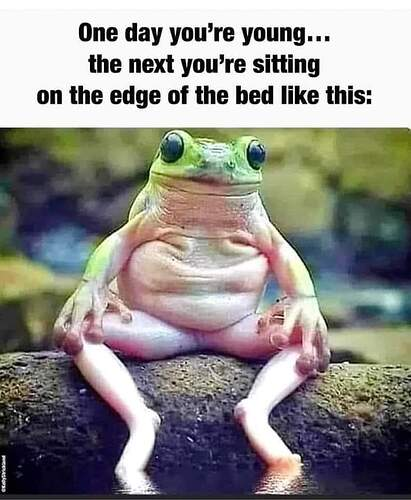Oh so true! 🤣🤣🤣🤣

#sotrue #oneday #joke #frog #ThoughtForTheDay #mademelaugh #life #funny #haha