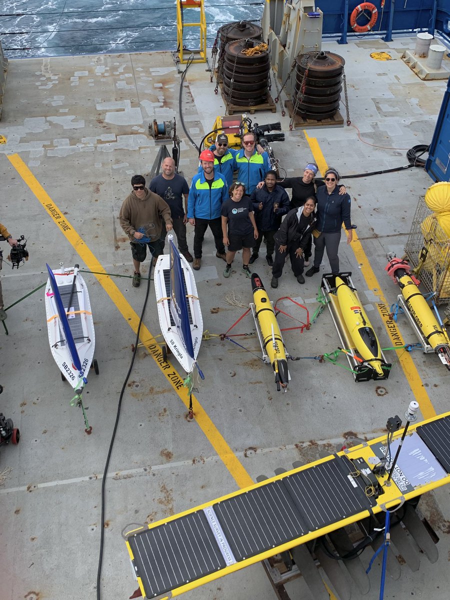 Lisa M Beal tweet media