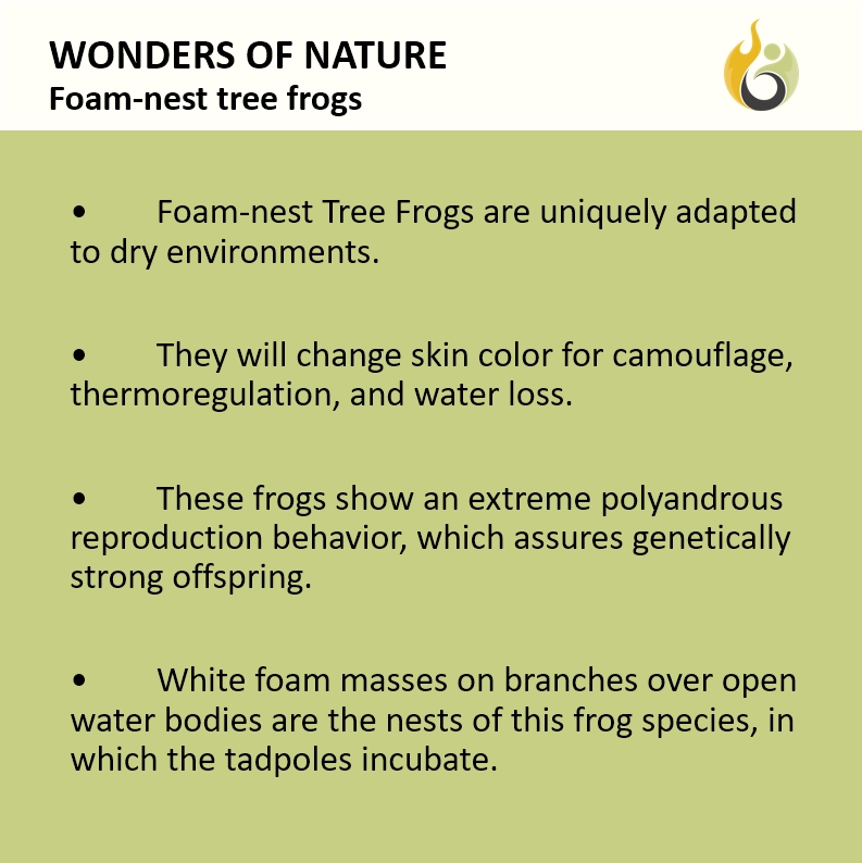 Bushguide101 tweet media