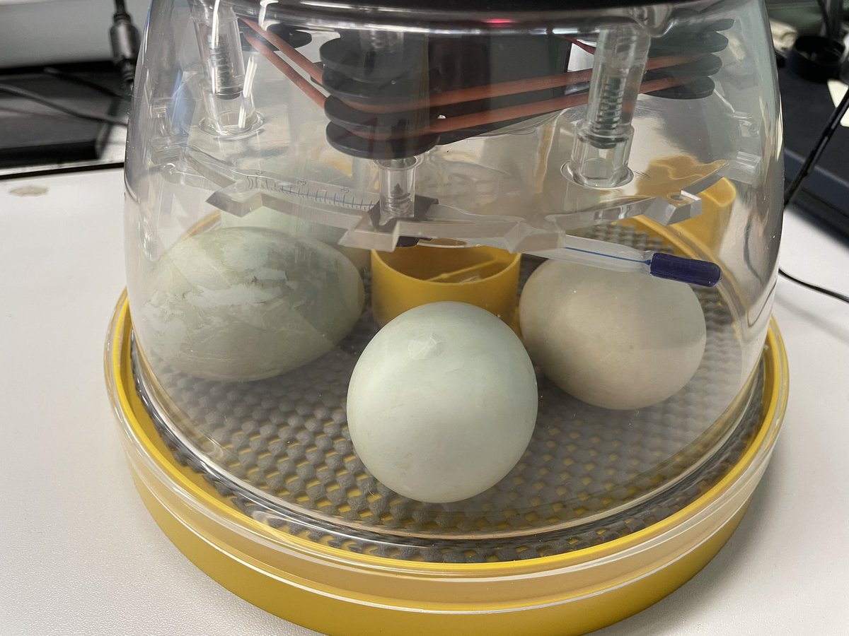 Brigshaw Science tweet media