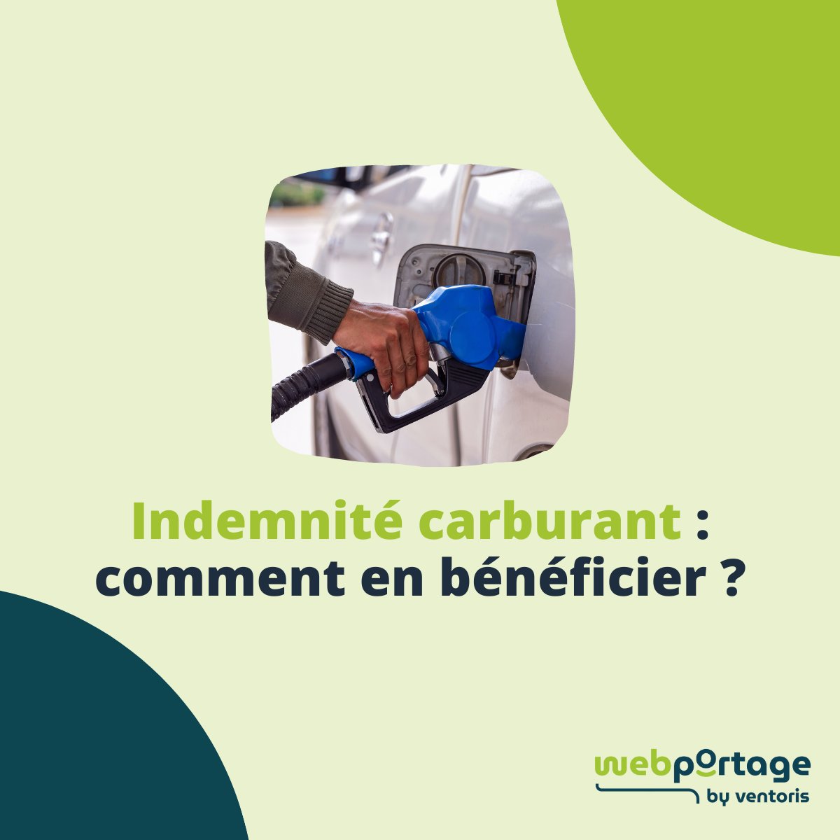 Webportage tweet media