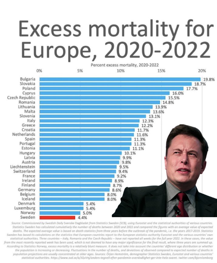 Elon Musk was right all along! This chart proves that many countries with the least restrictive COVID measures had some of the lowest Excess Mortality Rates!