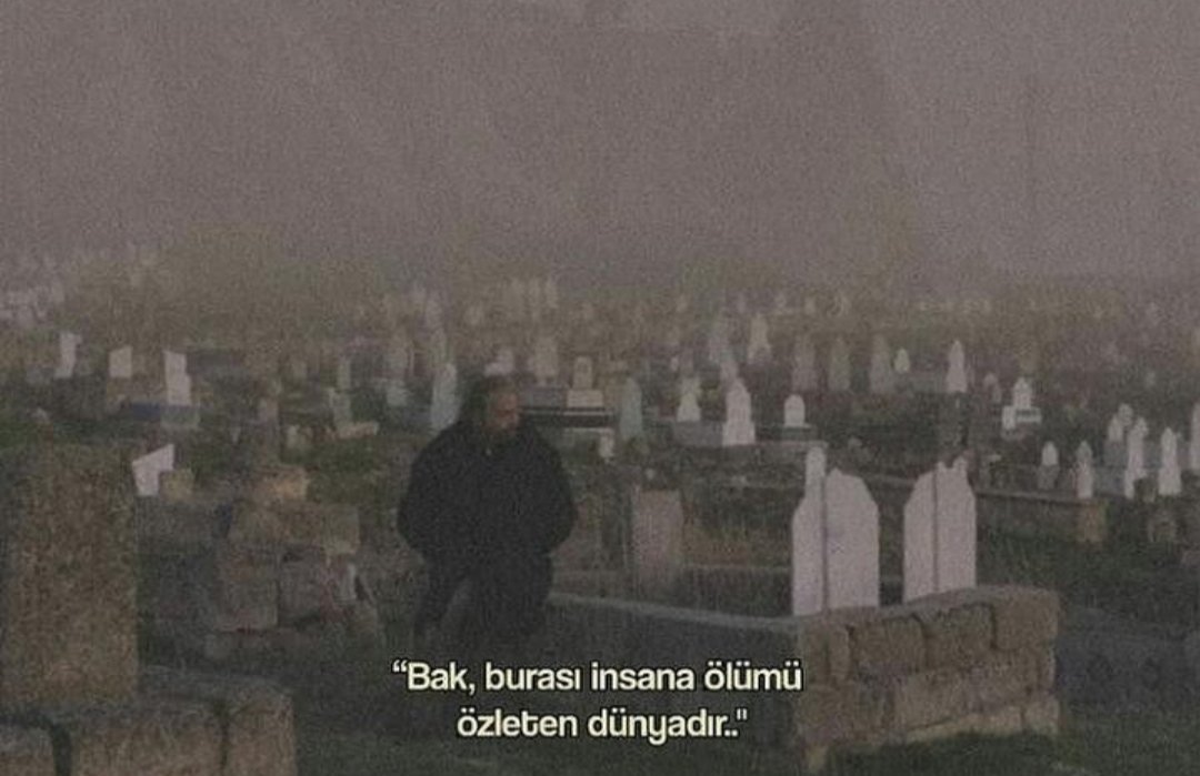 Ya baki entel Baki...