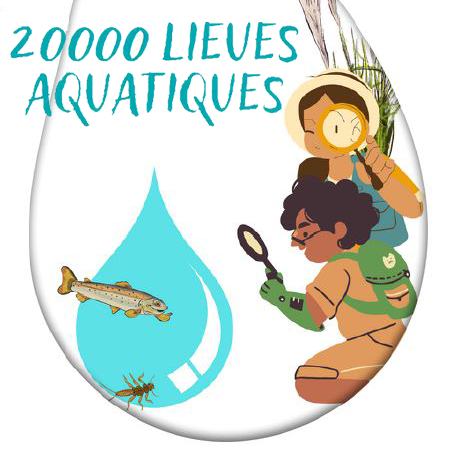 DocBiodiv's tweet photo. #MardiEDD #biodiversité #eau : La Mallette 20000 lieues aquatiques
20 fiches pédagogiques, parcours, jeu pour faire découvrir aux jeunes et grand public le fonctionnement des milieux @LoireBretagne @ptitsdebsGO cc @biodiversiteBZH @debrouillotwit https://t.co/qOHDCErVlR https://t.co/uCEmNWKfrC