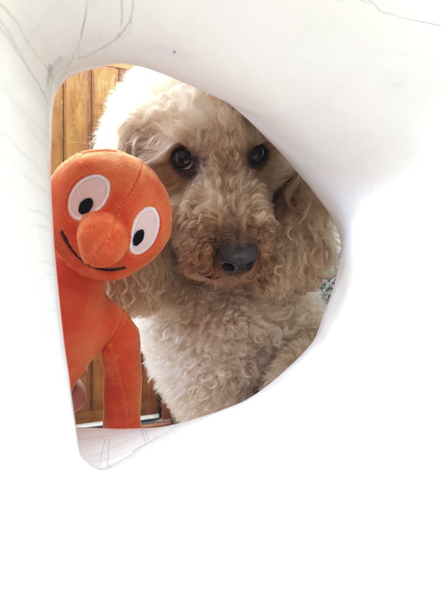 #Morphs  playing peek-a boo with Morris the #poodle Then on with the #painting its starting to take shape! No sneaky peeks yet! #exciting @WhizzKidz @wildinart @AmazingMorph @MorphLDN @arttrailproject #art #dog #londonevent #londonevent #london  #event