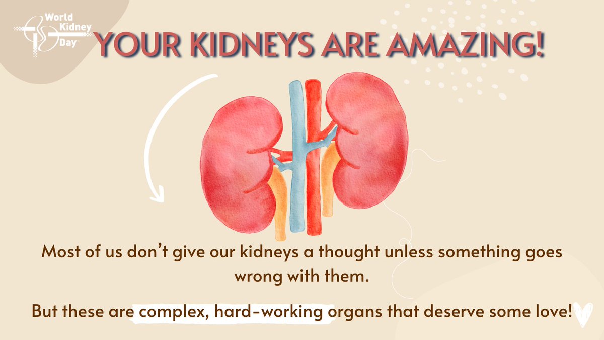 Your kidneys work around the clock to: ➡️Make urine ➡️Filter your blood from waste ➡️Control the chemical balance in your body ➡️Control your blood pressure ➡️Keep your bones healthy ➡️Produce red blood cells Let’s take care of them and keep them healthy! #WorldKidneyDay