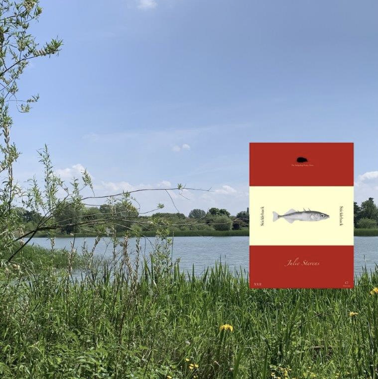 Jumping Jules Poetry tweet media