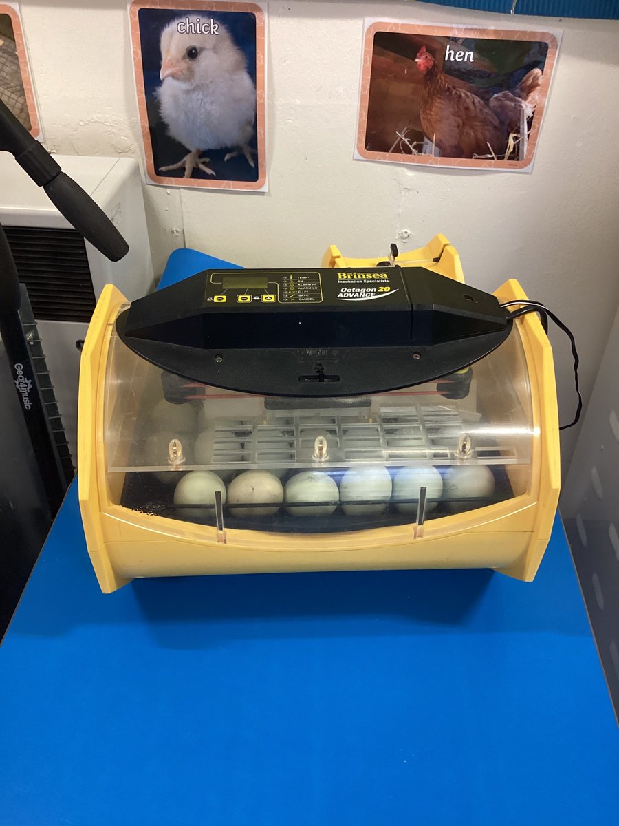 StThomasCofEAcademy tweet media